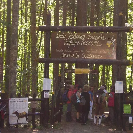 Hotel Boscolungo
