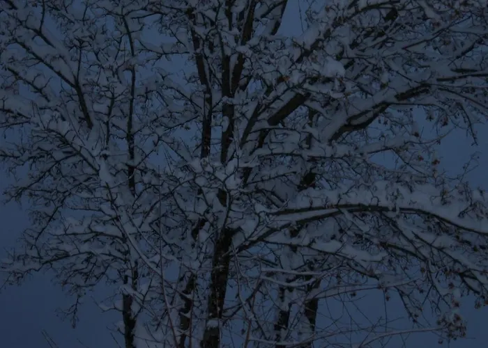 Boscolungo 호텔 4*