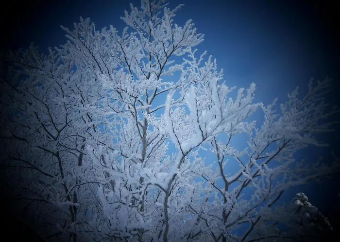 Boscolungo 호텔 4*