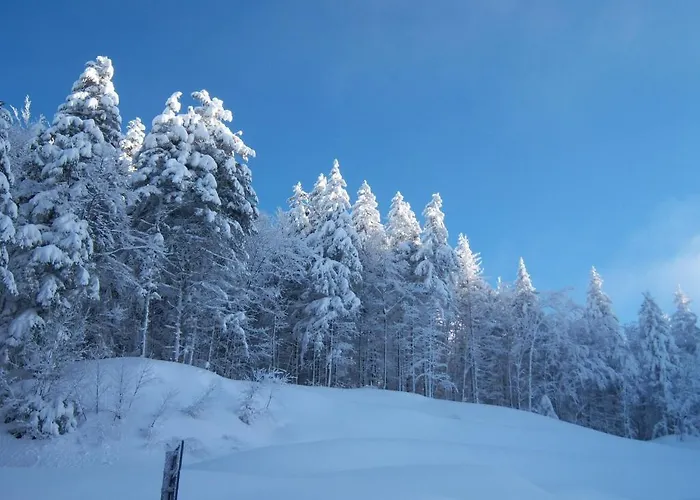 호텔 Boscolungo 아베토네