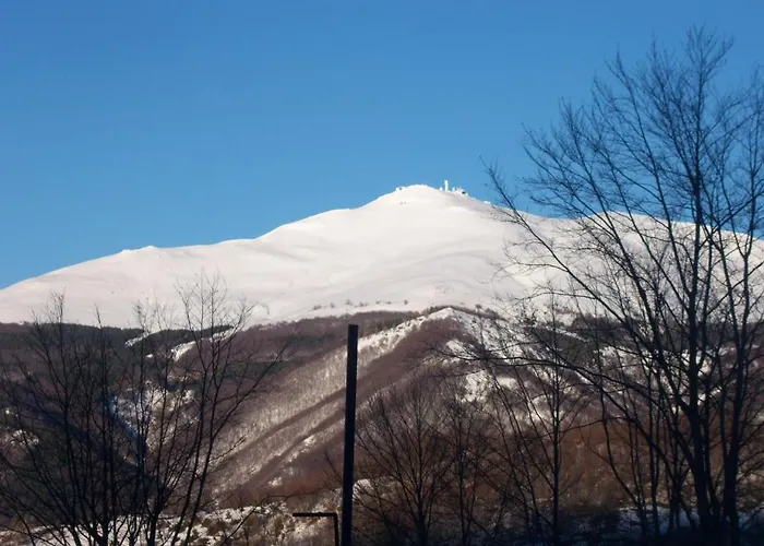 호텔 Boscolungo 4*