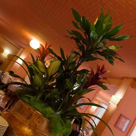 Hotel Boscolungo